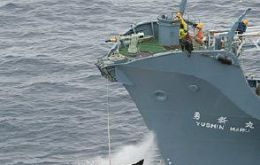 Japanese whaler hauls a minke whale aboard