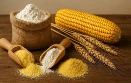 Wheat and maize prices tended to rise but all rice fell sharply reflecting ample production and surpluses