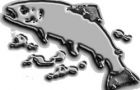 Sonapesca assured that mercury levels in seabass exported from Chile are low