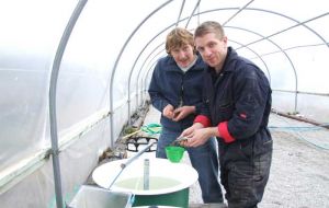 Visiting Masters student B. Perry (left) and biologist D. Fowler extract eggs from zebra trout at the aquaculture farm