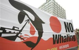 An environmental activist holds a banner at a protest denouncing Japan's whaling in front of the Japanese embassy