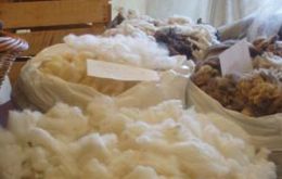 CTRC annually purchases 15 million kilos of wool