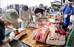 Fishermen cut blocks of meat from a 10m-long bottlenose whale