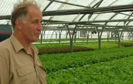 Tim Miller from Stanley Growers in one of the green houses