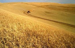 The suspension of the tariff is valid for one million tons of wheat