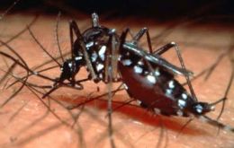 Dengue fever has infected more than 32,000 people in Rio de Janeiro state