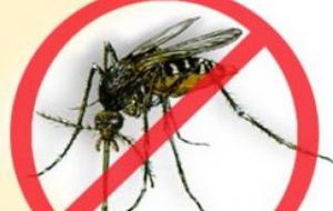 Army is helping to combat the Dengue