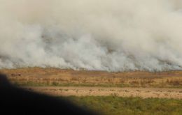 The fire has also fuelled another conflict between farmers and the government