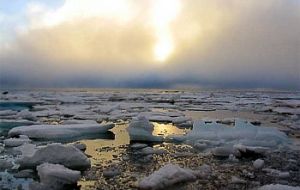 The melting of marine ice will elevate Arctic water temperatures and create ideal conditions for some molluscs.