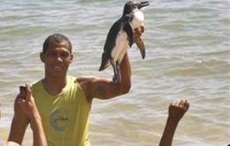 A boy holds up a penguin at in Salvador, northeastern Brazil
