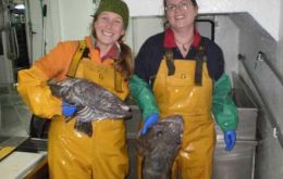 Scientist Judith Brown and Sarah Hearne, Fisheries Observer