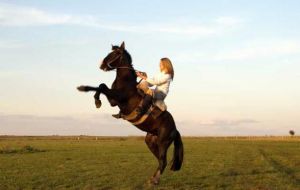 Horsing around: Release your inner cowgirl