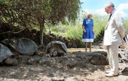 Britain's Prince Charles and his wife, the Duchess of Cornwall, Camilla Parker Bowles, walk next to a giant turtle during a visit to the Charles Darwin Research Station. Photo: AFP