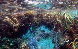 Lost, discarded or abandoned fishing gear make up for 10 per cent of all marine litter