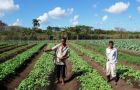 Highly dependent on food imports, Cuba is desperate to promote agriculture.