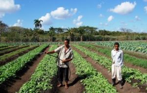 Highly dependent on food imports, Cuba is desperate to promote agriculture.
