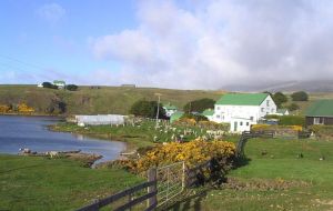 A typical farm, Port Howard Settlement in the West Falklands
