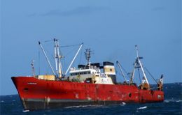 Hoki is captured mainly by trawlers that process catches on board.