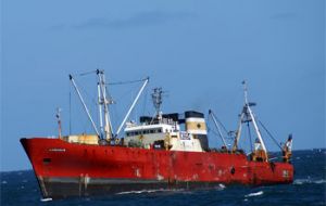 Hoki is captured mainly by trawlers that process catches on board.