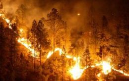 Extreme warm events, --droughts and forest fires--, were more frequent and intense in southern South America and Australia