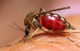 Paraguayan sanitary authorities confirmed over the weekend 62 cases of dengue