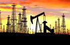 ”Candelilla is a very big discovery”, 15.600 bpd