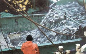Almost 30% of catches are unreported and 50/60.000 tons discarded 