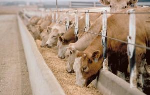 Fears about consequences to the EU livestock industry