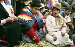 Indigenous Bolivians sells coca leaves on the street 