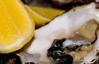 The full impact of the oyster depletion will be felt this Christmas