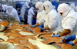 The salmon industry represents annual sales of 2 billion USD for Chile 