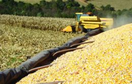 Brazil’s agriculture is forecasted to expand 40% in the next ten years 
