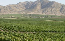 Chile’s valleys next to the Andes covered in vines for excellent wines 