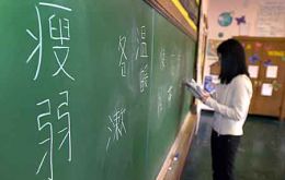 Institutes to spread the language and millenary culture 