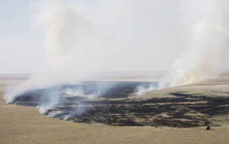 Scorched fields in Russia, unable to contain record temperatures and lack of rain 