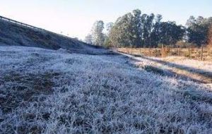 The cold spell has hit farms and pastures 