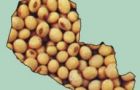 The country is among the world’s leading exporters of soy beans