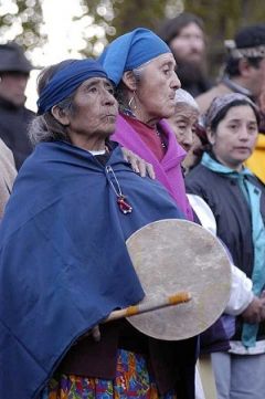 The indigenous Mapuches have a long list of demands