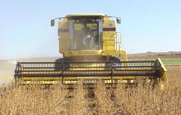 Soybeans with 68.7 million tons are almost half the total harvest 