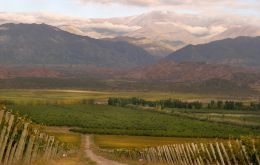 Some of the vineyards along the foothills in Mendoza and San Juan 