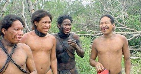 Museum suspends expedition to meet uncontacted tribes in the