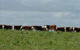 Beef remains Uruguay’s main export item 