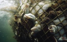 About 32% of world fish stocks are estimated to be over-exploited or depleted