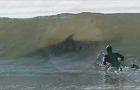 Surfers were the main target of the water predators