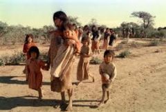Indigenous colonies in the northern territory of Argentina