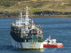 The average daily catch per jigger has climbed to 20 tons
