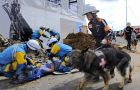 Search and relief efforts continue among the rubble