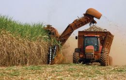 Brazil is one of the world’s leading producers of sugar cane and bio-fuel 