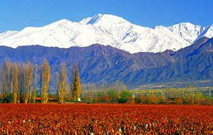 Some of the best soils for quality vineyards can be found on both sides of the Andes  
