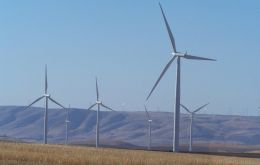 A massive display of wind turbines on Shepherds Flat 